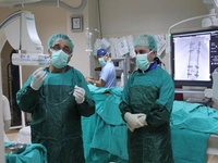 Omurilik Pili Özellikleri ve Faydaları Nelerdir?