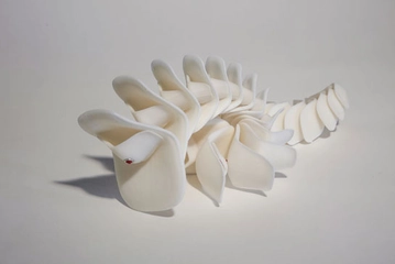 Omurilik Nakli Nedir ve Nasıl Yapılır?